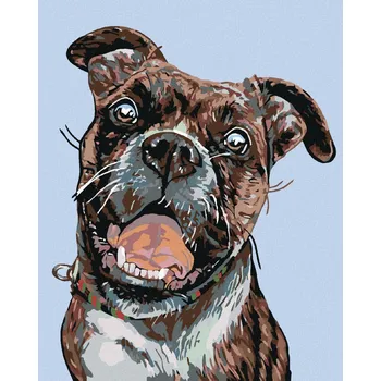 Hračka Diamondi Diamantové malování - STARÝ TRHAČ Rozměr: 40x50 cm, Rámování: bez rámu a bez vypnutí plátna