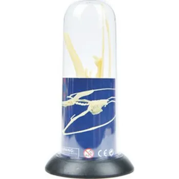 Dětská vědecká sada Mideer Model kostry PTERANODON