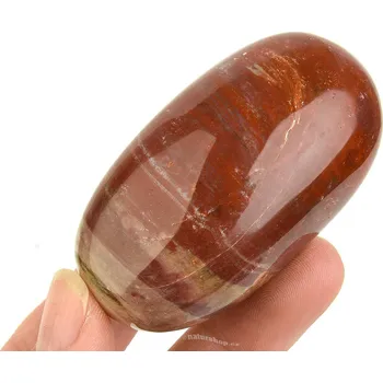 Přírodní kámen Hladký kámen zkamenělé dřevo (Madagaskar) 108g