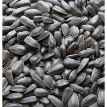 Krmivo pro ptáka AVICENTRA slunečnice černá 1kg Velikost balení: 20kg