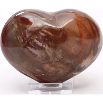 Drahý kámen Magieprirody.cz Srdce Zkamenělé dřevo 96x79 mm 507 g přírodní kámen #A26