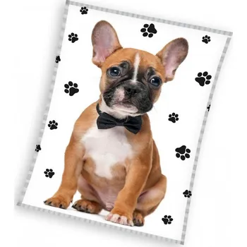 Dětská deka Deka mikroplyšová Francouzský buldoček, 130*170 cm (Deky se psem)