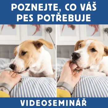 DVD film Dokonalá Láska VIDEOSEMINÁŘ – POZNEJTE, CO VÁŠ PES POTŘEBUJE