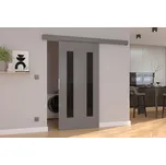 Posuvné dveře na stěnu HERS 106 Gray+Black Lacobel