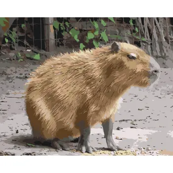 Malování podle čísel - Capybara Velikost: 30x40cm, Rámování: Pouze srolované plátno