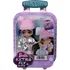 Panenka Barbie Extra Fly Minis HPB20