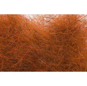 Mad Rabbit Dubbing Orange