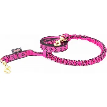 Obojek pro psa SNAP šňůra pro 1 psa stříbrná