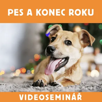DVD film Dokonalá Láska Dokonalá Láska VIDEOSEMINÁŘ – PES A KONEC ROKU