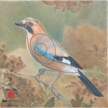 Terč na sportovní střelbu Terč 2D Sojka (2D)