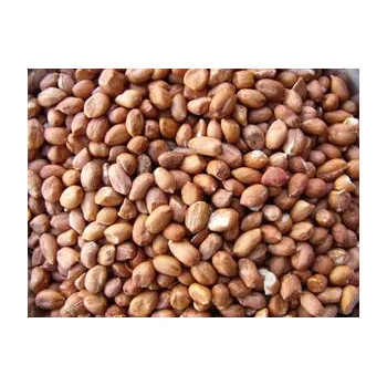 Pro ptáka MROWCA Burské ořechy loupané Hmotnost: 3 kg