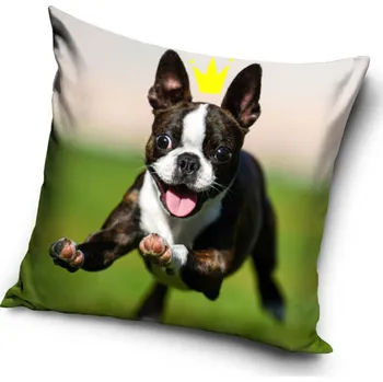 Polštář Povlak na polštář Bostonský teriér - 40x40