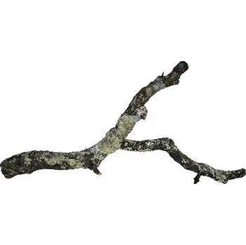 HOBBY Terraristik Korková větev 90 cm Dekorace do terária HOBBY Terraristik Korková větev 90 cm