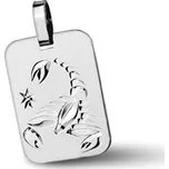 Stříbrný přívěsek - znamení Štír Přívěsek: s rytinou