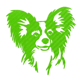 Polep vozidla Pes 190 pravá Papillon (58 - 3D karbon zelený kawasaki) SAMOLEPKA NA AUTO, NÁLEPKA, FÓLIE, POLEP, TUNING, VLASTNÍ TEXT, TISK, AUTOSAMOLEPKY.cz, POLEPY, OBRÁZEK, LOGO, 3D STICKERS