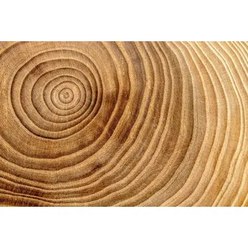 Plakát Plakát, Obraz - Wooden cross section detail. Wood background., Mehmet Gökhan Bayhan