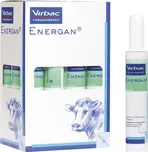 Virbac Energan Ketose 12x 300 g
