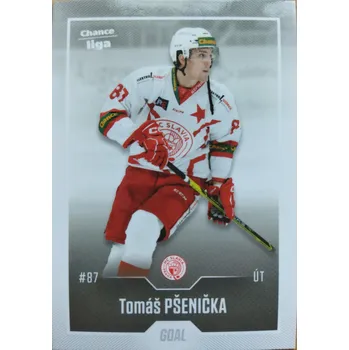 Sběratelská karetní hra Tomáš Pšenička