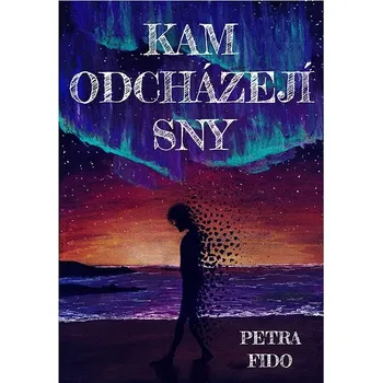 Kniha Kam odcházejí sny Ekniha