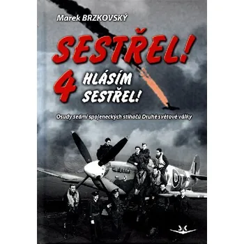 Sestřel! Hlásím sestřel! 4 - Osudy sedmi spojeneckých stíhačů Druhé světové války - Marek Brzkovský