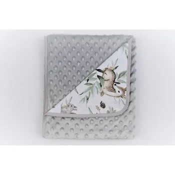 Dětská deka Dětská deka 80x90 cm DuetBaby Minky Dual
