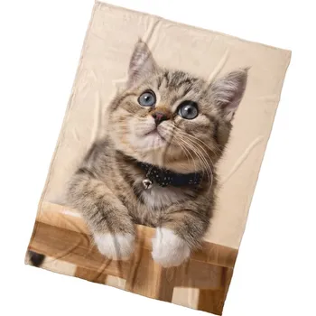 Dětská deka Dětská deka Koťátko Rolnička 150x200 cm