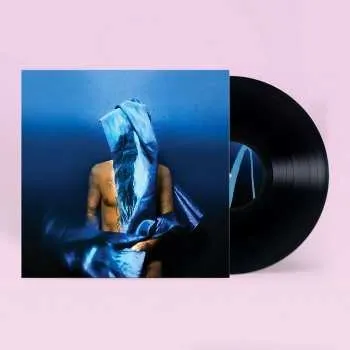 Zahraniční hudba LP Devendra Banhart: Flying Wig 2023