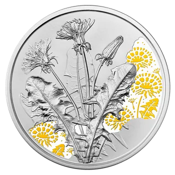 Sběratelství Stříbrná mince Pampeliška 1/2 oz Proof 2022