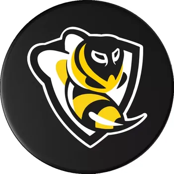 Puk Hokejový puk Znak velký