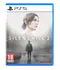 Hra pro PlayStation 5 Silent Hill 2 PS5