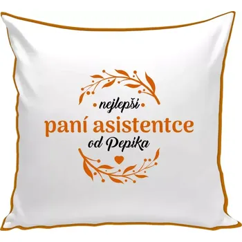 Polštář Polštář barevný 32x32 cm Nejlepší paní asistentce od Jméno