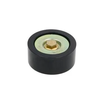 Rozvod motoru Vodící (vratná) kladka klínového řemenu pro DAF CF, XF 106 (2012-) = SKF 20164