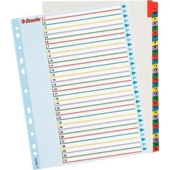Zesílené rejstříky Standard, popisovatelná titulní str., mix barev, karton, A4 Maxi, 1-31, ESSELTE