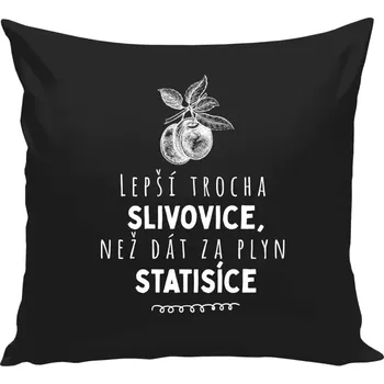 Polštář Polštář černý 40x40 cm Lepší trocha slivovice
