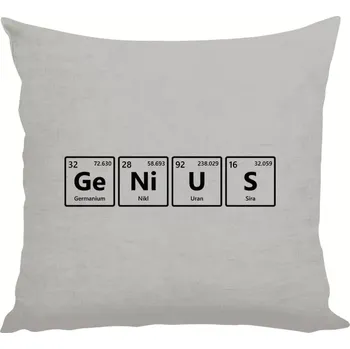 Polštář Polštář lněný 40x40 cm GeNiUS