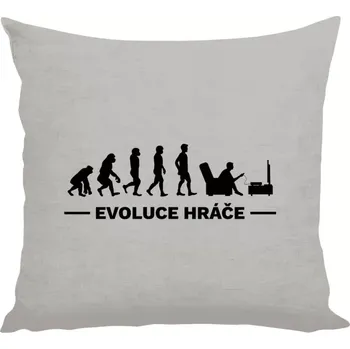 Polštář Polštář lněný 40x40 cm Evoluce - hráč