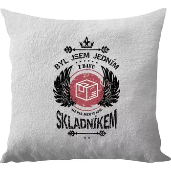 Polštář Polštář bílý 40x40 cm - dlouhý chlup Byl jsem jedním z davu, ale pak jsem se stal skladníkem