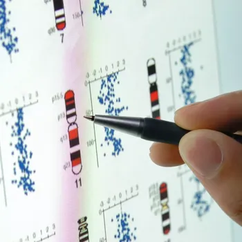 Diagnostický test Test sportovních předpokladů PLUS