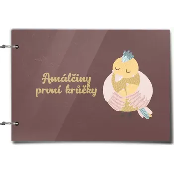 Fotokniha Plexi album se sponami První krůčky se jménem - kuřátka