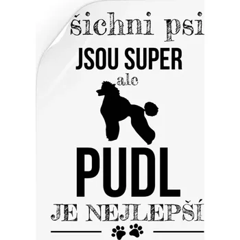 Samolepící dekorace Samolepka Pudl je nejlepší