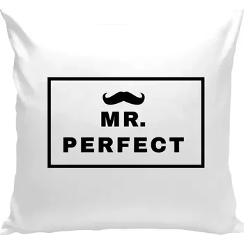 Polštář Polštář bílý 40x40 cm Mr. Perfect