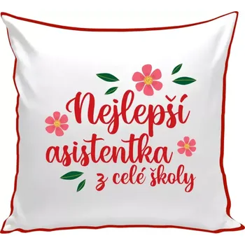 Polštář Polštář barevný 32x32 cm Nejlepší asistentka z celé školy