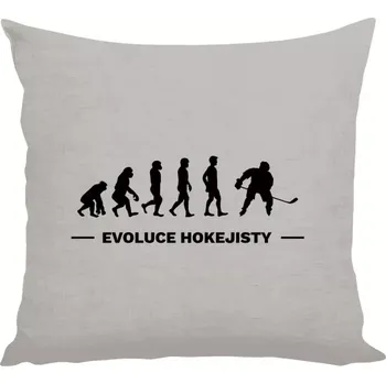 Polštář Polštář lněný 40x40 cm Evoluce - hokejista