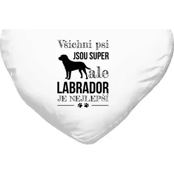 Polštář Polštář srdce 40x35 cm Labrador je nejlepší
