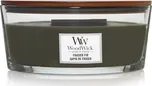 WoodWick Frasier Fir