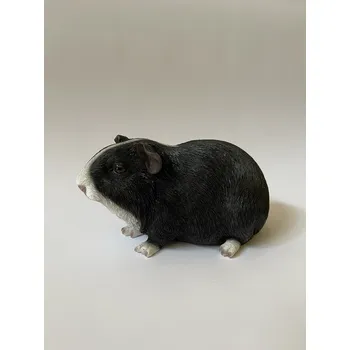 MORČE ČERNO BÍLÉ KRÁTKOSRSTÉ