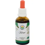 Salvia Paradise Cannabis sativa AF…