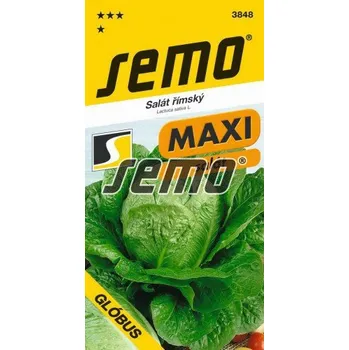 Semeno Salát - Glóbus