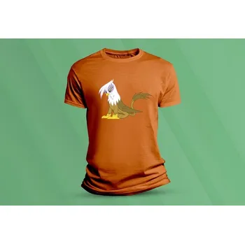 Chlapecké oblečení Dětské bavlněné tričko Pokémon Gilda. velikost 152 (12-13 let) Oranžová