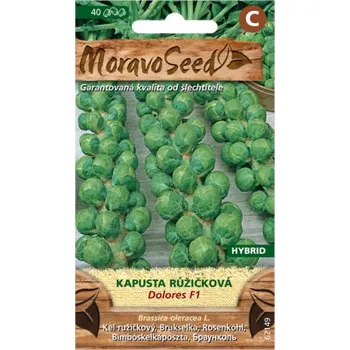 Pěstitelství Kapusta růžičková DOROLES F1 - hybrid 62149